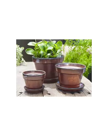 Verandah 8x6.5 Oxi Standard with Saucer