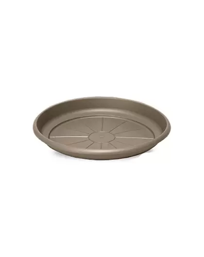 Crescent 5.5" Emma Saucer Cappuccino