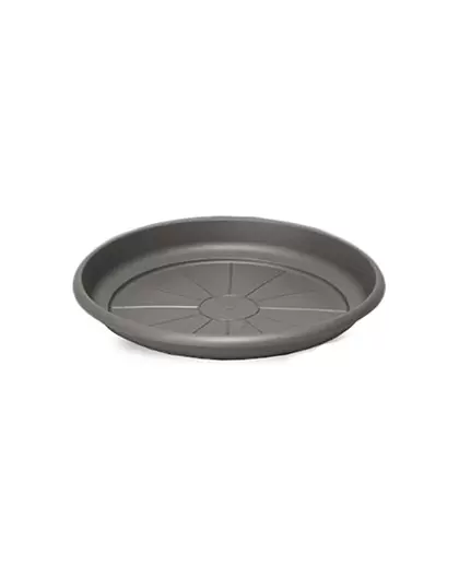 Crescent 7" Emma Saucer Charcoal