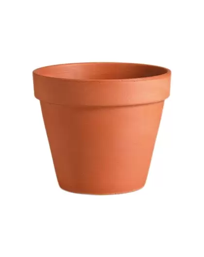 Deroma 10.6" Standard Pot Terra Cotta Case Pack