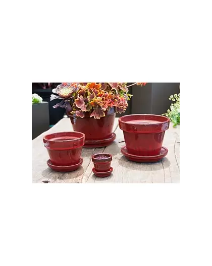 Verandah 5.5x4.5 with Saucer Trph Red