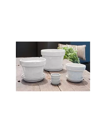 Verandah 5.5x4.5 White Standard with Saucer