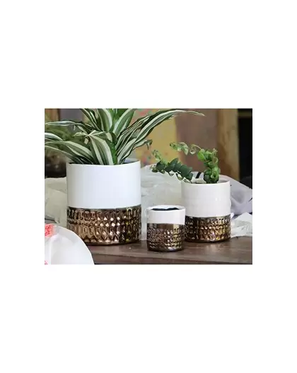Jewel 4" Cache Pot Ivw
