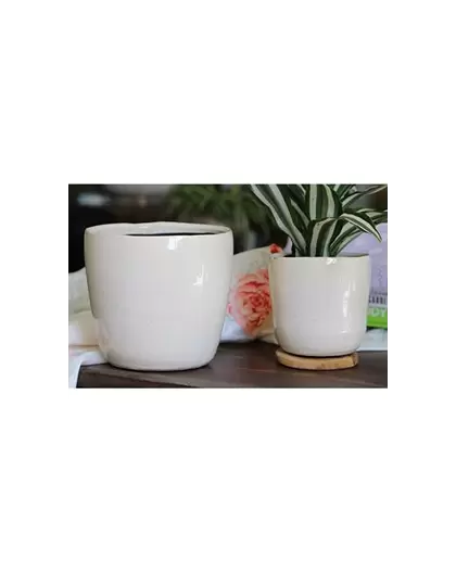 Jewel 6.5" Freeform Pot Ivc