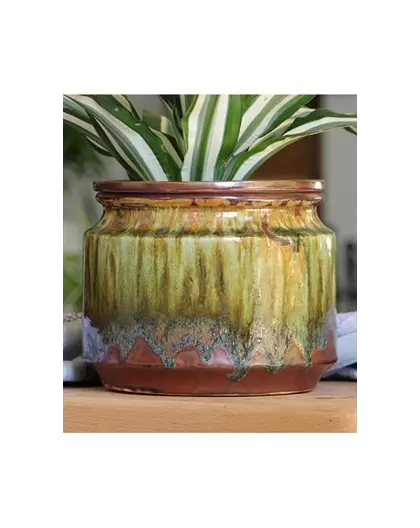 Jewel 4.5" Self Watering Pot Rnf