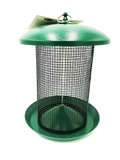 Hanging Bird Seed Screen Feeder