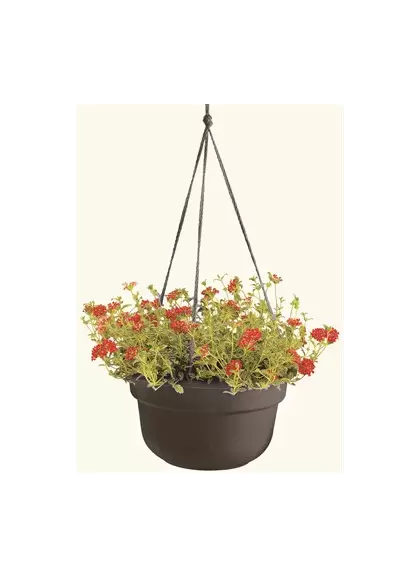 Bloem 12" Dura Cotta Hanging Basket Black