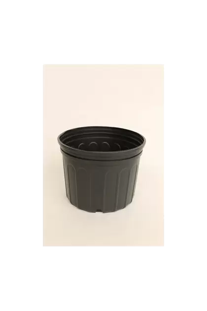 NS 1000SCU CUSTOM SQUAT, TRADE SIZE 2 GALLON, 1.95 GALLON, BLACK 75/CS 36CS/TOWER (10-1/8"X7-1/2"), 2Gallon