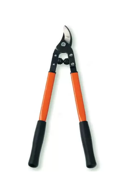 Professional Vine And Light Tree Lopper - 24-Inch