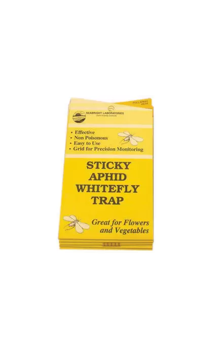 Seabright Laboratories Aphid/Whitefly Traps, 5 pack