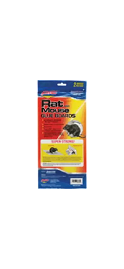 Pic 2pk Rat Glue Boards