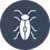 ​Boxelder Bug Control