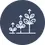 Plant Growth Regulators