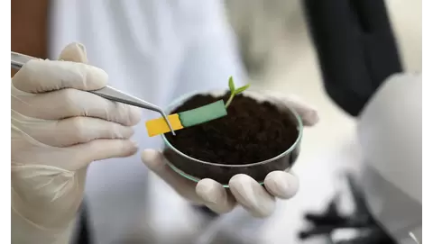 A step-by-step guide to testing soil pH for optimal plant growth