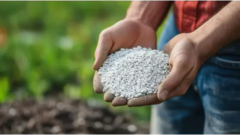 Understanding Granular Fertilizers: How They Work and Best Uses