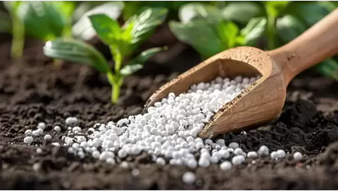 Harnessing the Power of Ammonium Sulphate Fertilizer for Thriving Plants