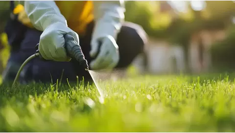 Starting Strong: The Importance of Using Starter Fertilizer in Lawn Care