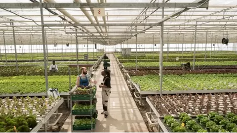 precision environment controls in greenhouses