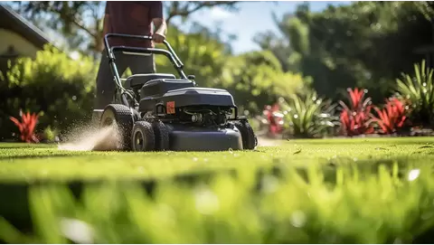 When and How to Aerate and Overseed Your Lawn for Optimal Growth