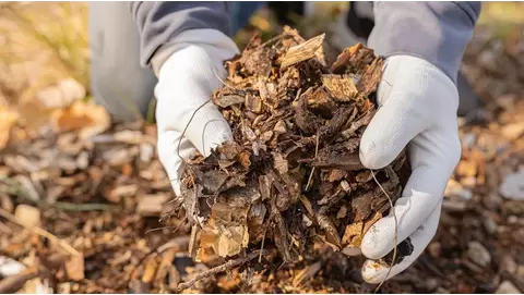 Mulching 101: Benefits and Techniques for Healthier Gardens