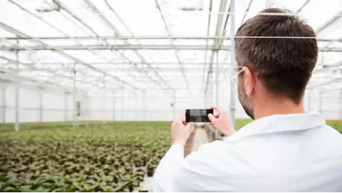 Airflow for Indoor Agriculture