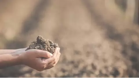 Building Soil Health