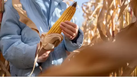 Cutting-Edge Agriculture