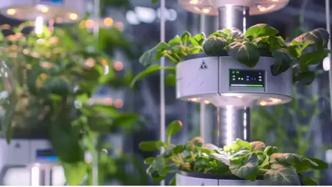 smart indoor farming