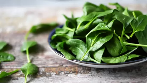 Spinach growing guide: Easy tips for fresh, healthy greens