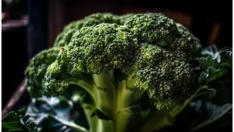 Broccoli growing guide: Tips for delicious home harvests