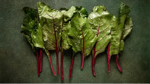 Swiss chard growing tips: A colorful, nutritious green