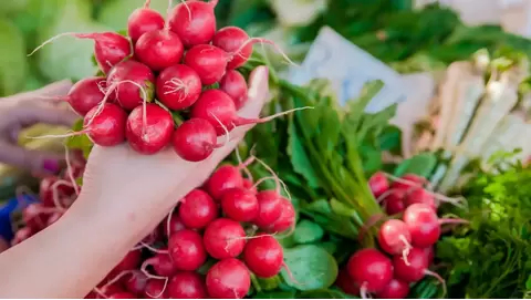 Radish growing tips: Quick and easy harvests at home