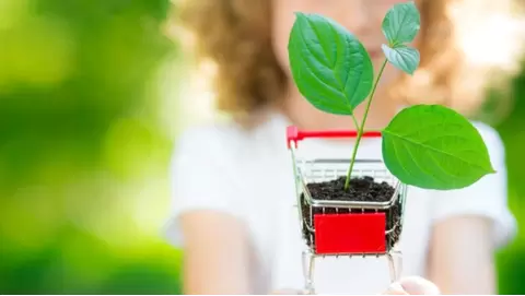 Growing Sustainably Eco-Friendly Fertilizers