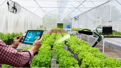 Smart Farming Innovations