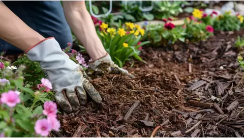 Mulch glue: The secret to a tidy, long-lasting garden bed