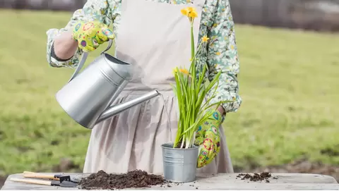 The ultimate guide to choosing the perfect watering can