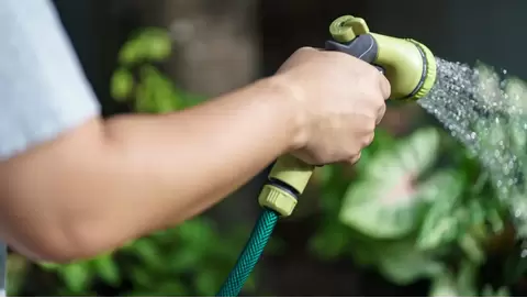 Best garden hoses for every yard: Durable & tangle-free picks