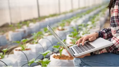 Smart indoor farming