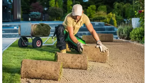 How to lay sod for a lush, green lawn in no time