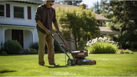 Best lawn dethatchers for a thicker, healthier lawn