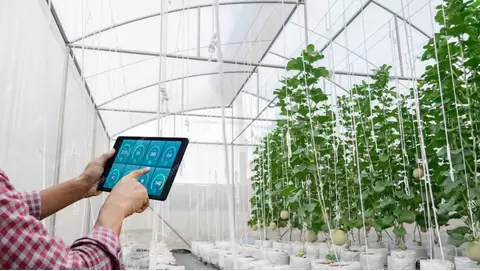 smart indoor farming