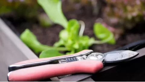 Advanced Horticulture Tools