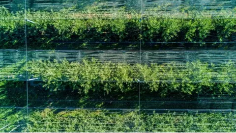 Boosting Agricultural Efficiency