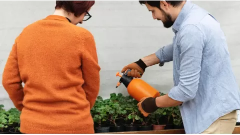Discover the most effective mosquito yard sprays to protect your outdoor space. Learn which products last longest and are safe for pets.