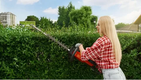 Best pole pruners for high branches: Trim trees with ease and safety