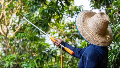Best pesticide sprayers for home and garden use: Get precision and coverage