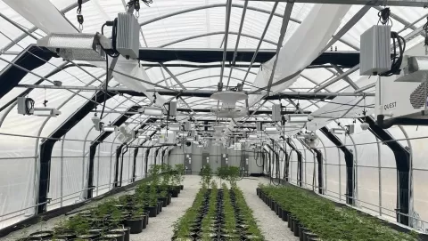 Best small dehumidifiers for agriculture: Boost crop storage and prevent mold
