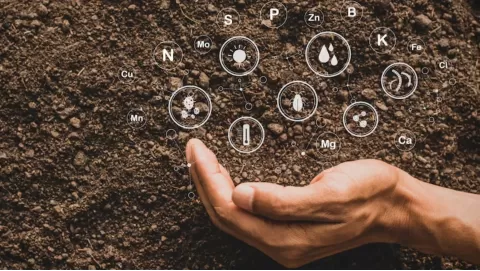 Organic and Microbial Solutions