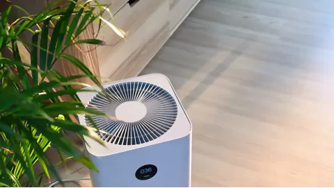 Best air purifiers for mold spores: Breathe cleaner, healthier air