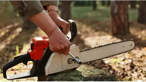 Best mini chainsaws for pruning and yard work: Lightweight, powerful, and safe